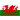 Wales - U20